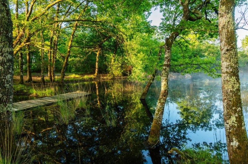 2024 – ARUE – Lagunes de Nabias – ©Arnaud Späni (75)