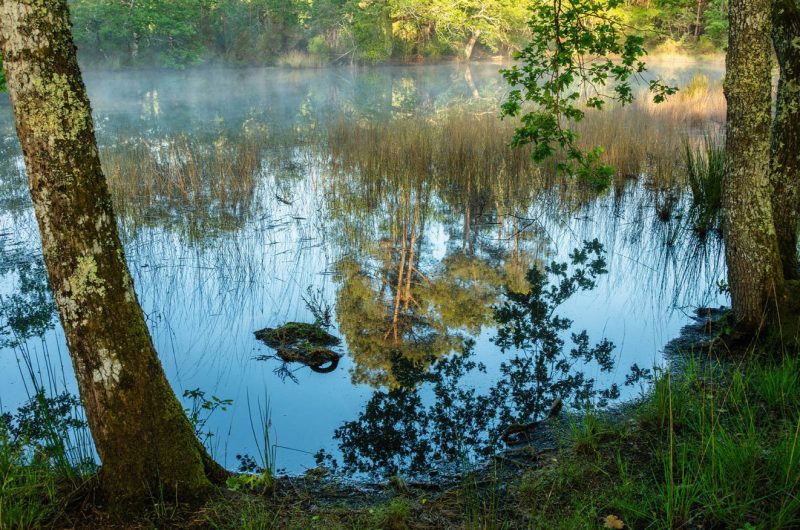 2024 – ARUE – Lagunes de Nabias – ©Arnaud Späni (79)