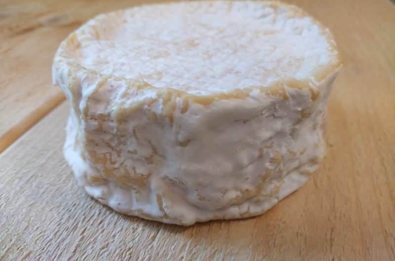 2024 – MAIL – Bergerie de Maillas – Fromage le façon camembert – ©Marion POUTAYS