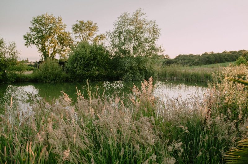 2024_PEC_HakunaMatata029©Jana Marnewick