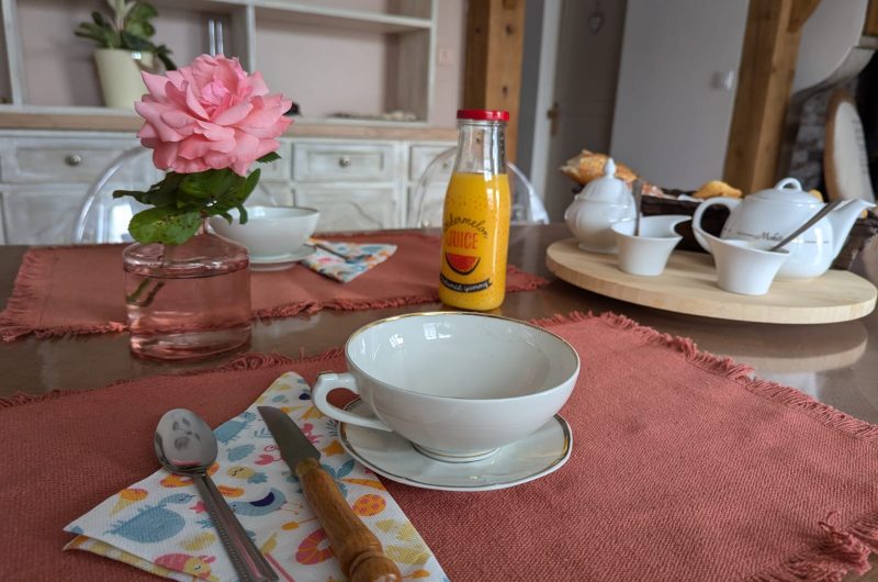 2024_SAM_Le Passage des Hirondelles011©Mme Pinheiro