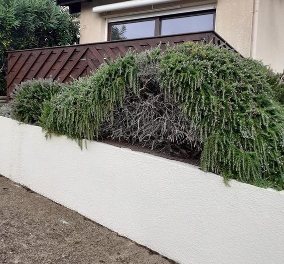 2024_egmorte (20) (Copier)