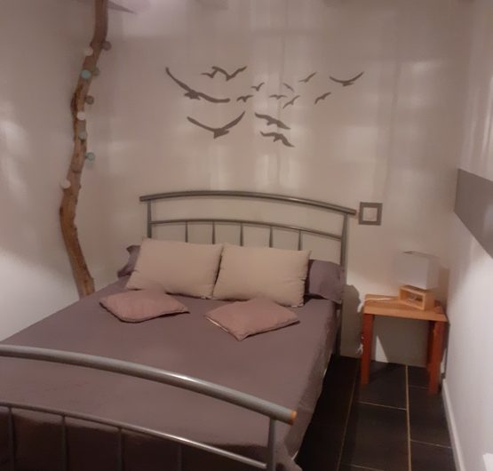 2024_rigal (5) (Copier)