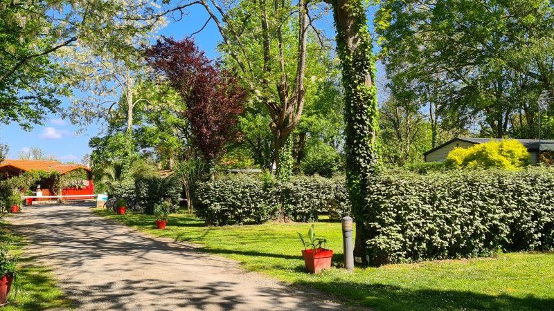 20240420_115445-1732800966684