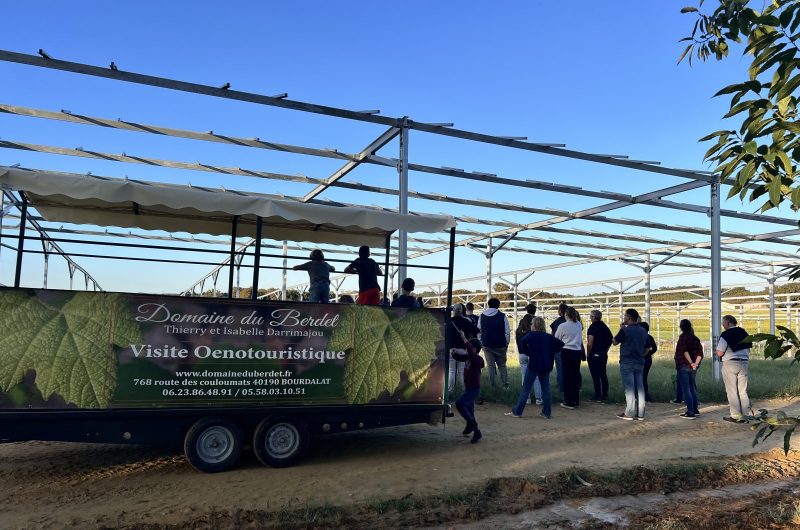 2025 – BOUR – Domaine du Berdet – Visite en remorque – ©Domaine du Berdet (2)