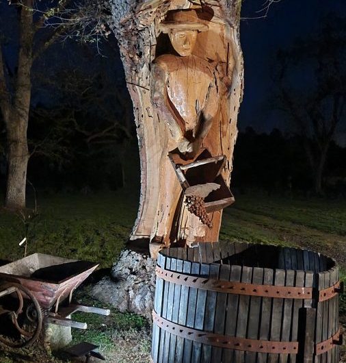 2025 – LACQ – Airial de Lachayre – Sculpture dans le tronc – ©Airial de Lachayre