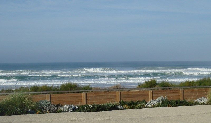 2025_cavalier (13) (Copier)