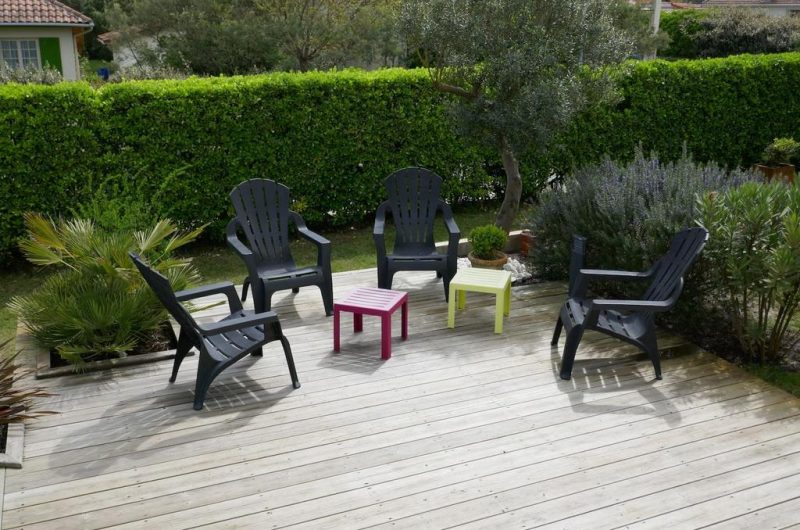 2025_marin_bouton_dor (14) (Copier)