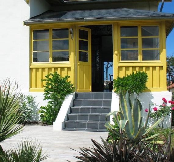 2025_marin_bouton_dor (7) (Copier)