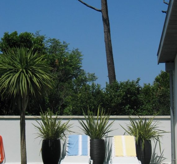 2025_marin_clos_marin (7) (Copier)