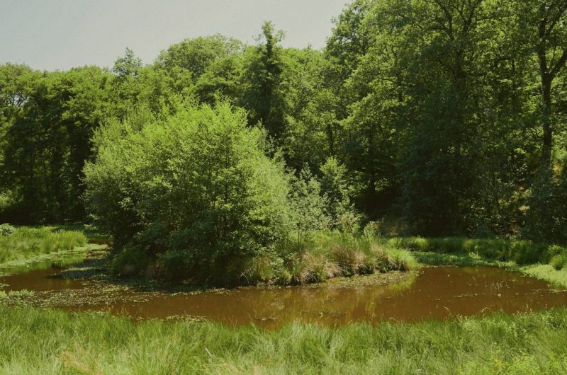 2026 – BOUR – Moulin de Pouyhéré – Extérieurs – ©Marie CHAMFEUIL (5)