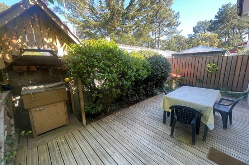 2026_belmont2 (Copier)