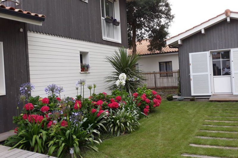 2026_castaing (4) (Copier)