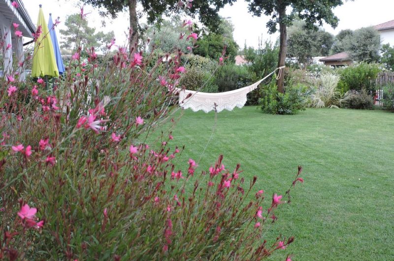 2026_castaing (7) (Copier)