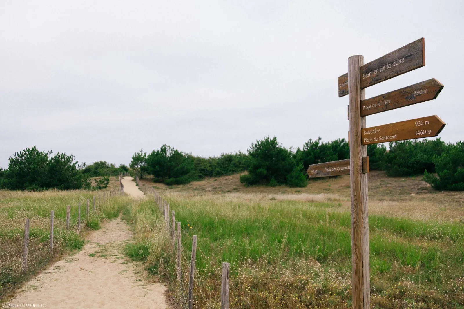 Sentier de la Dune