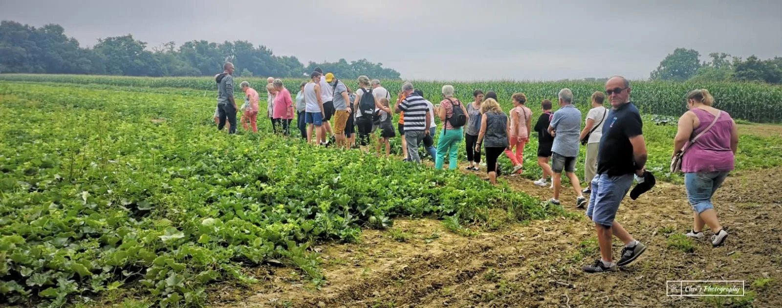 220931062_1395741540819212_7520217485225103022_n