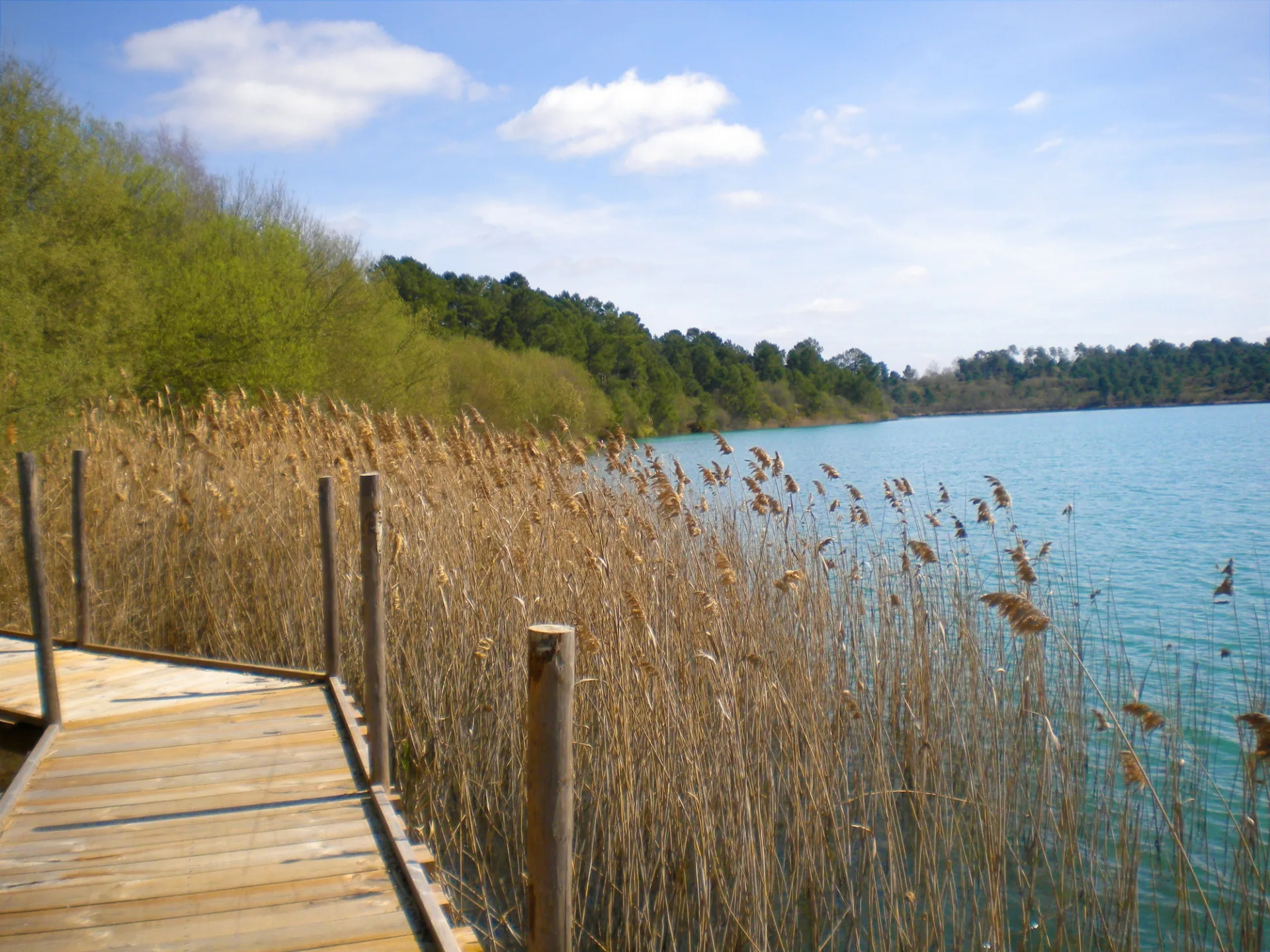 A Arjuzanx, circuit du tour du lac