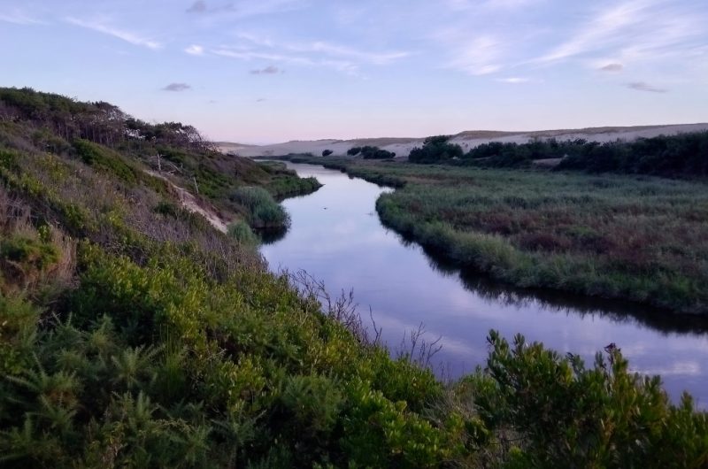 3-Aici Hemen_Soustons_OTILAS