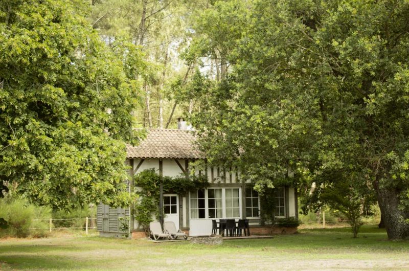 3.ROSE_La baguette_3