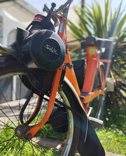 347232971_632492122102567_3532031792729243940_n (Copier)