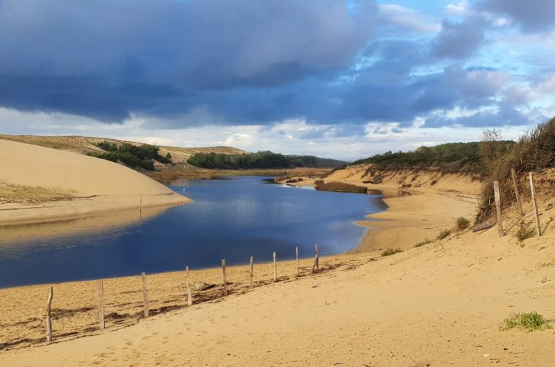 380811-22_10852_d1fe5d00d199ad248555b7786a607955