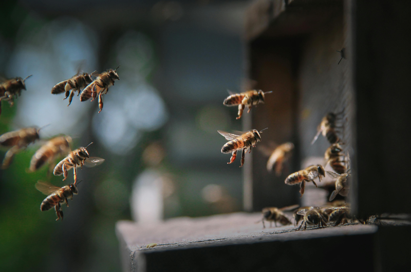 photo activité – 4