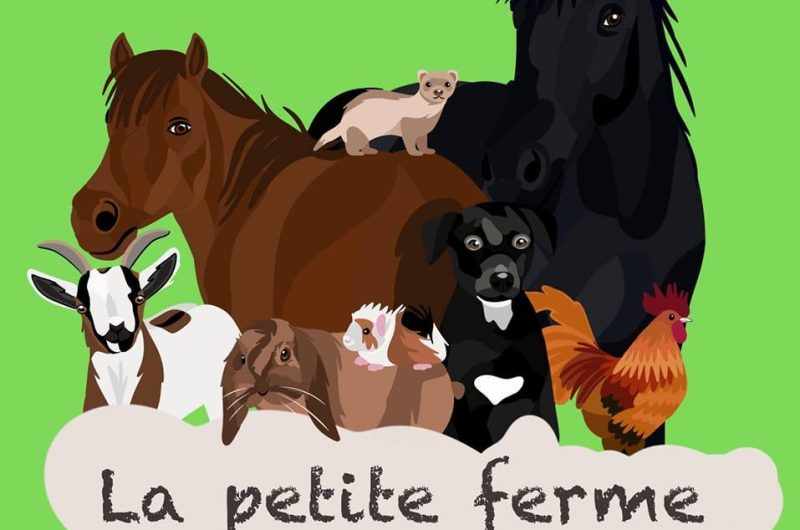 454038132_1071938424717575_2143085751024401482_n (1)