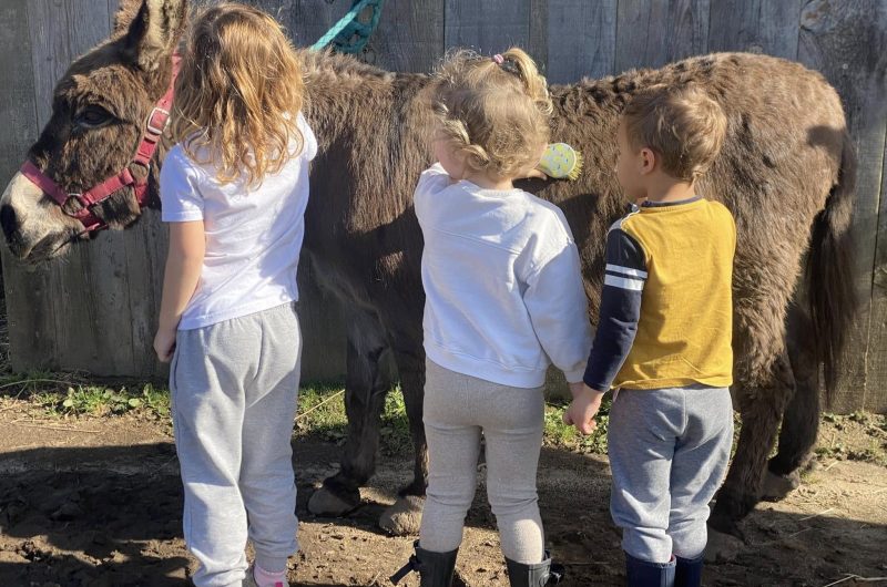 480023031_122253826112006796_4736432140753363580_n