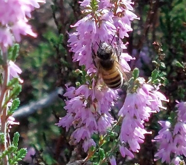 481792629_1268793794919608_742535953273359414_n