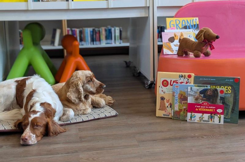 489625413-1079411037328779-513374990444393244-n