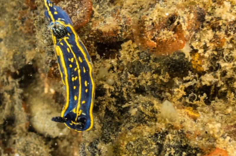 Design sans titre – 5