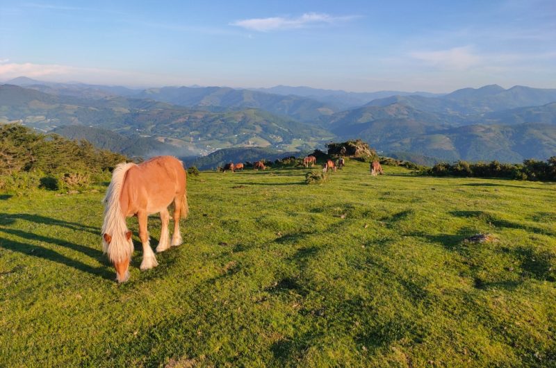 5-Aici Hemen_Soustons_OTILAS