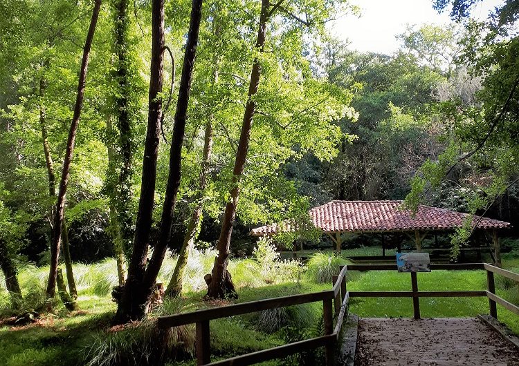 667609-site-limac-carine-couerbe-2r