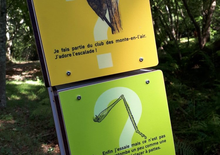 667610-site-limac-carine-couerbe-3r