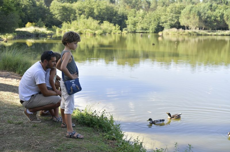 667663-etang-de-massy-gailleresgilles-arroyo-122r