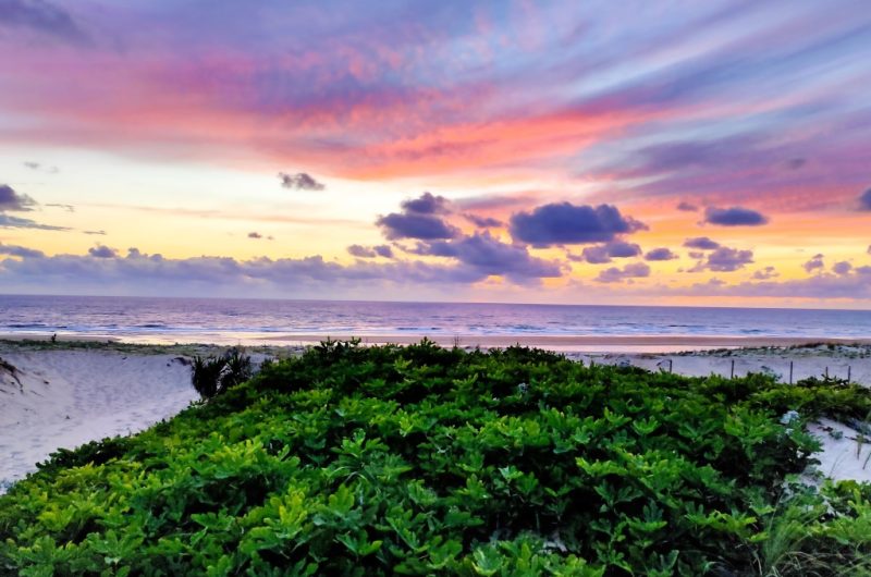 7-Aici Hemen_Soustons_OTILAS