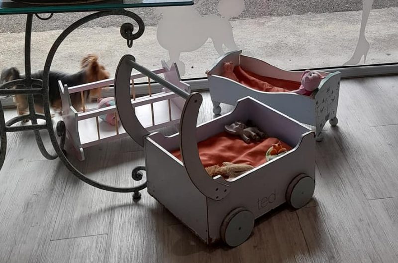 737468-241728524-3027970697445898-8421299005621293692-n