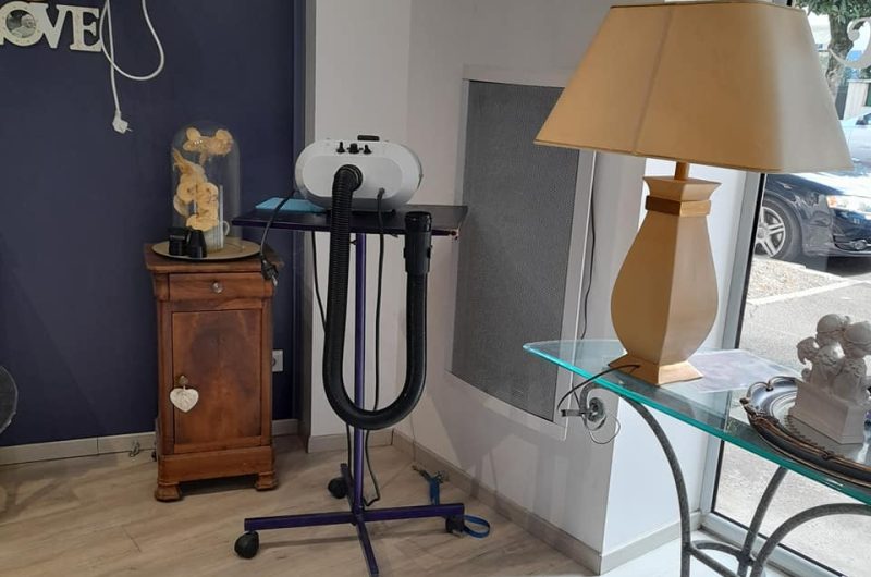 737471-241800538-3027970880779213-6190369515460530333-n