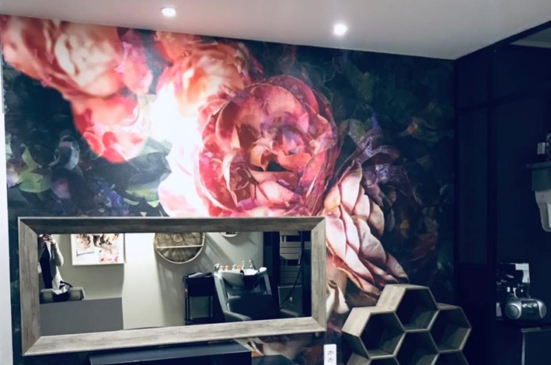 737722-128258182-3532100996878023-1463868686924229708-n