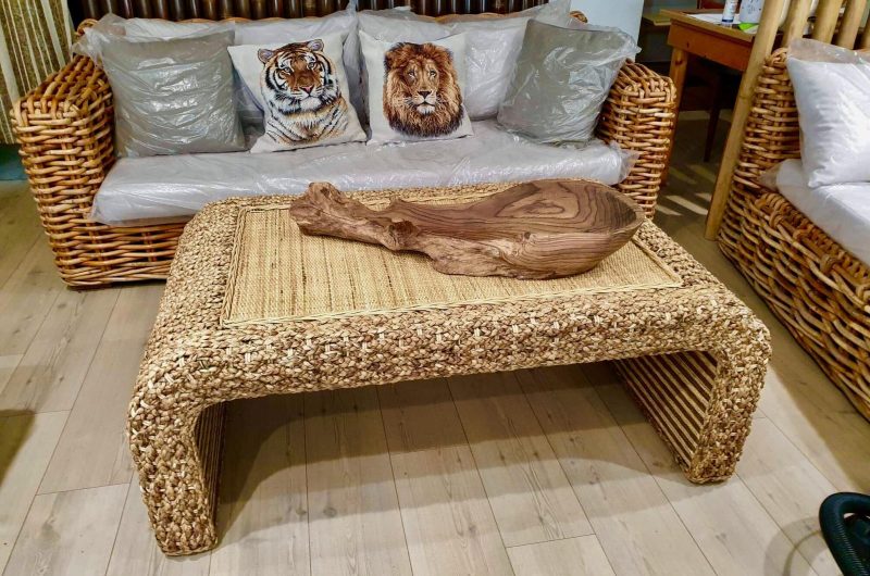 737786-295872092-453133166823192-4759681809302307537-n