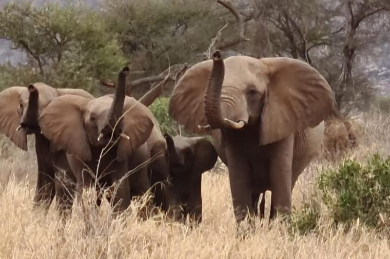 738502-233800250-580368333371819-8580565505768071901-n