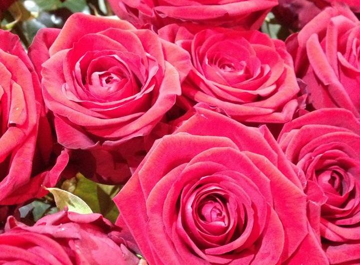 738850-27973313-1707585532634094-7455821561402443693-n