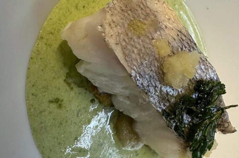 772729-328608565-3058490214444994-8275157811567678762-n