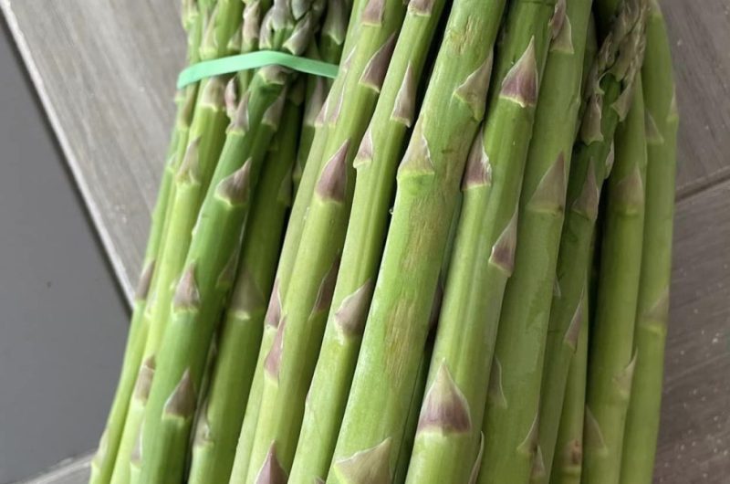 773649-336177067-970788407256962-1282113639949857158-n