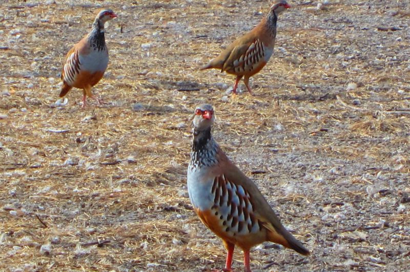 781413-922390-408896542554884-1293299658-o