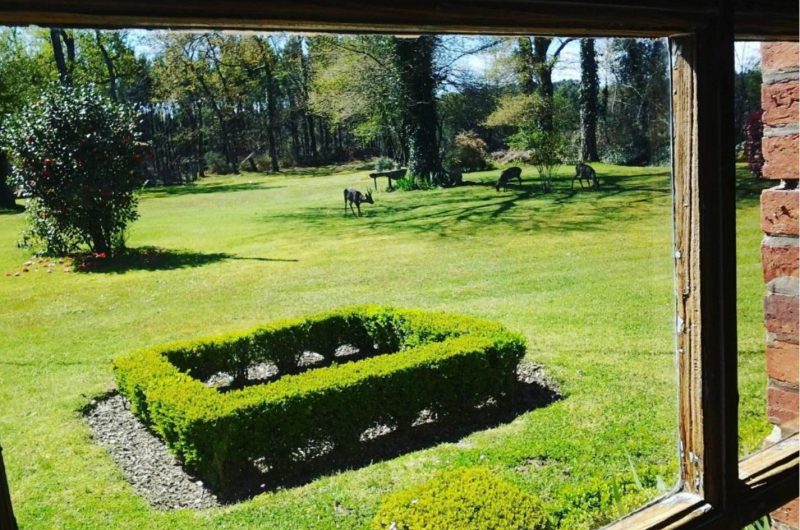 808671-les-hotes-de-guillemets3