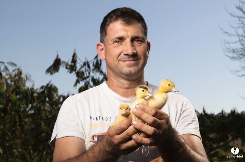 8317d7b3-32c4-404d-bc82-9586bb6454b0