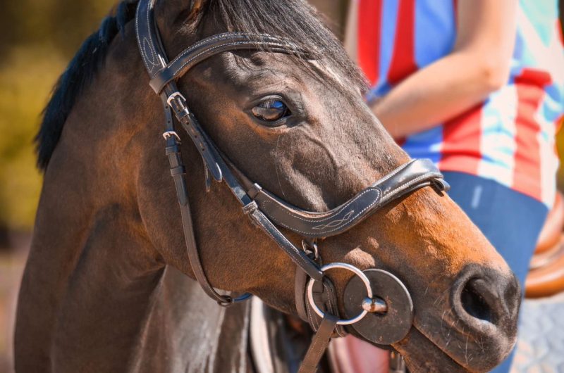 857753-480834476-629301396358245-9663601950395134-n