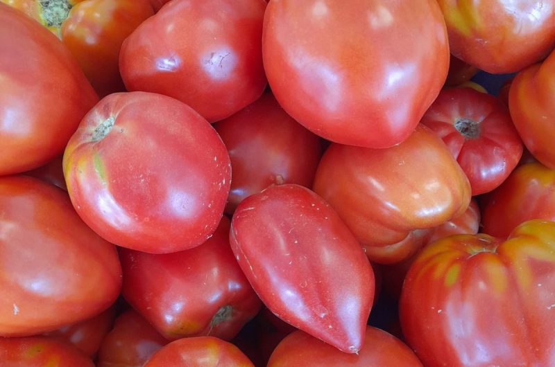 858342-288730868-2101294613377957-7406218672793142632-n