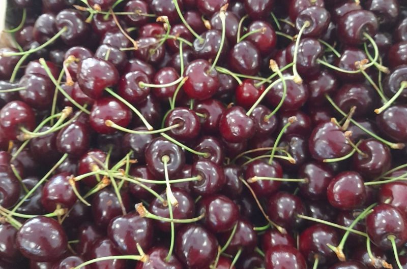 858343-288849531-2101295980044487-1936983575454728506-n